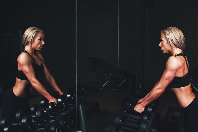 Exercise Equipment Guide
